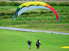 Paraglider